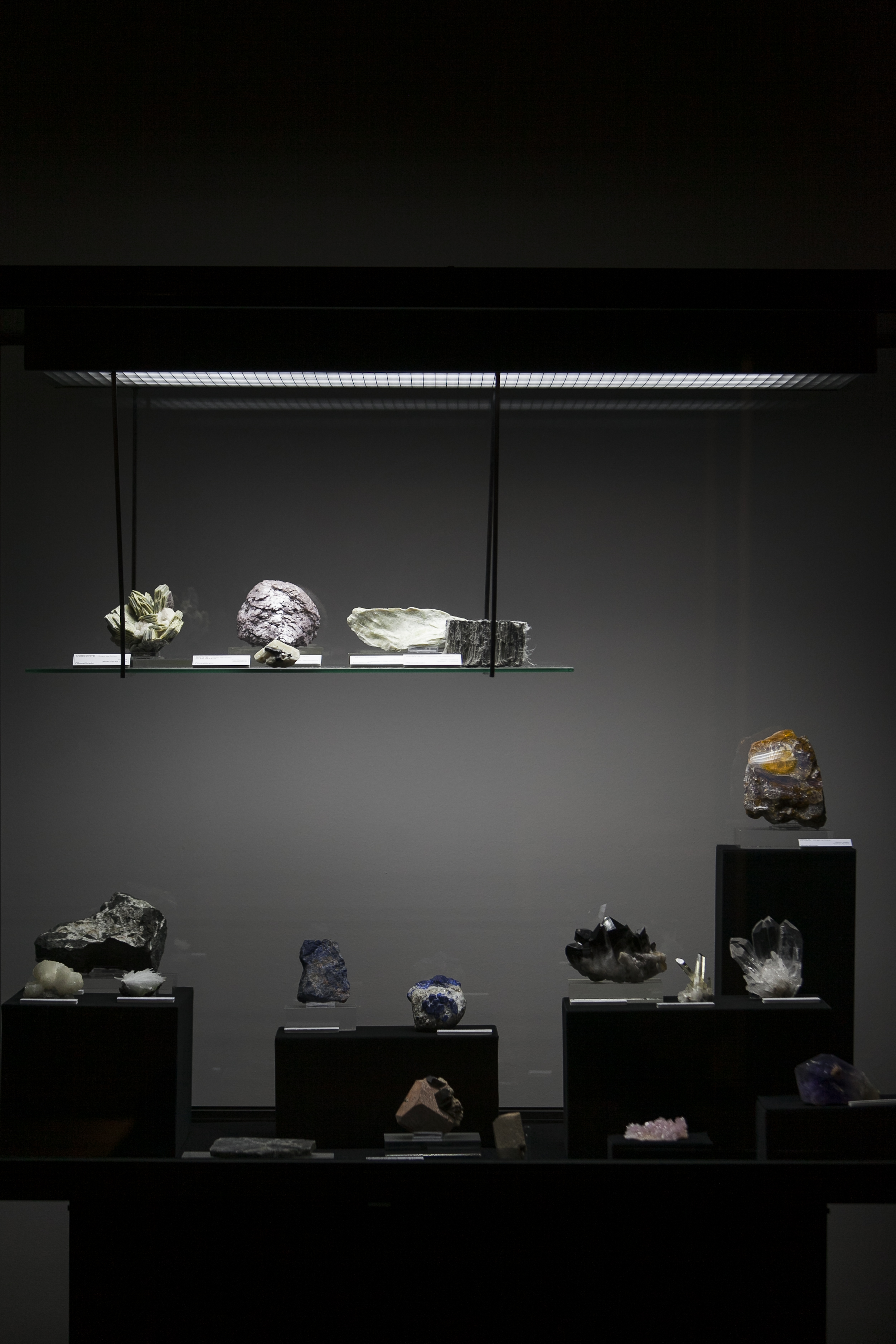 National Natural History Museum and Science, Lisboa