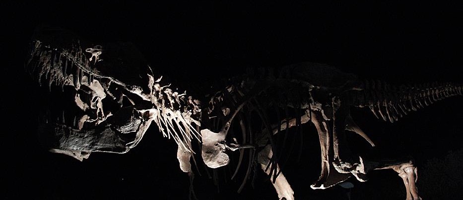 Estremoz Life Science Centre, Estremoz