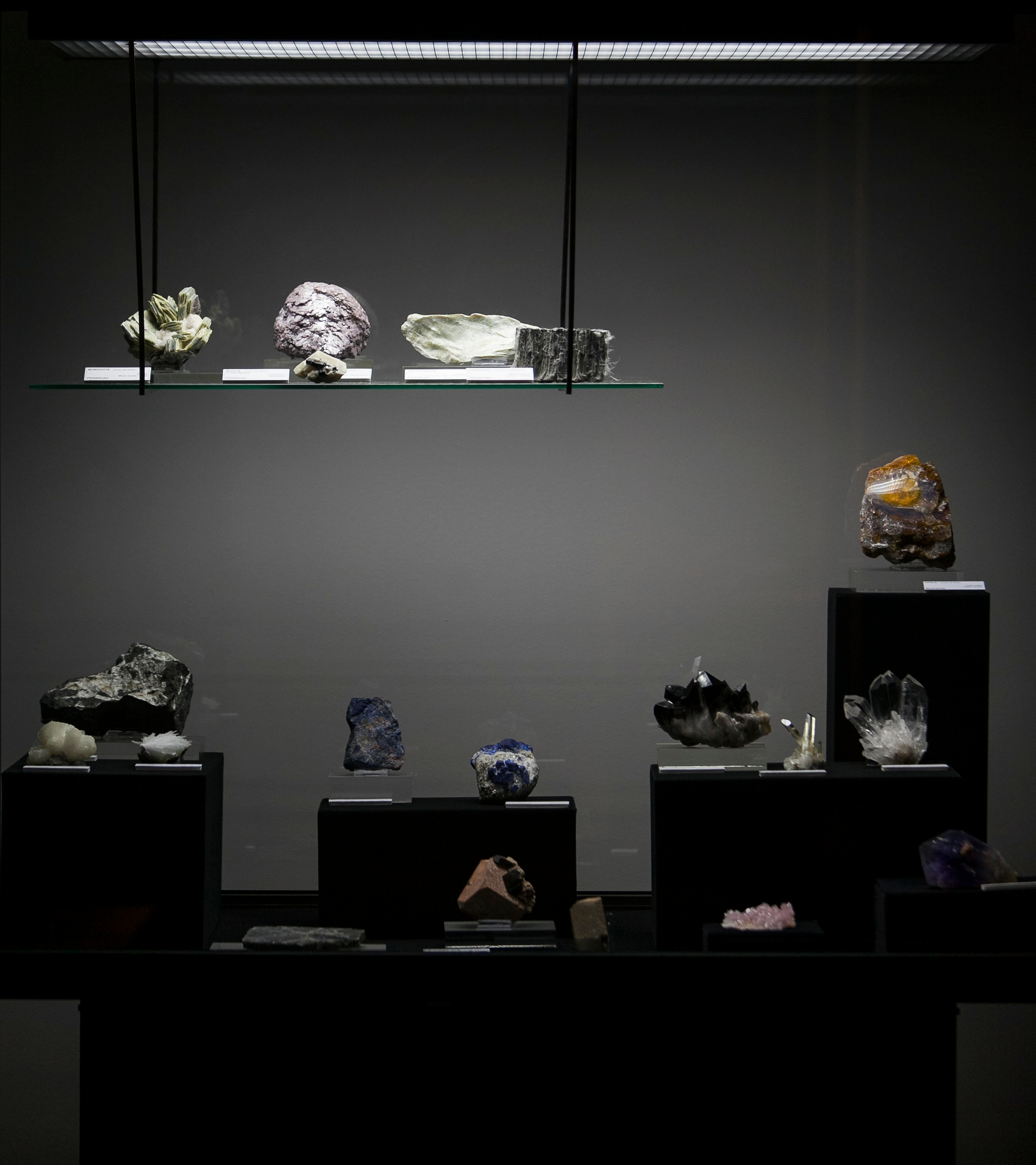 Museu Nacional de História Natural e da Ciência, Lisboa