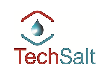 tech salt